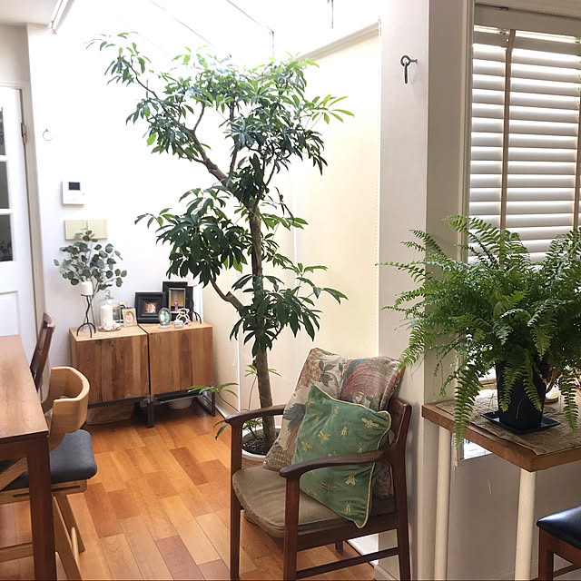 tweety_homedecorさんの実例写真