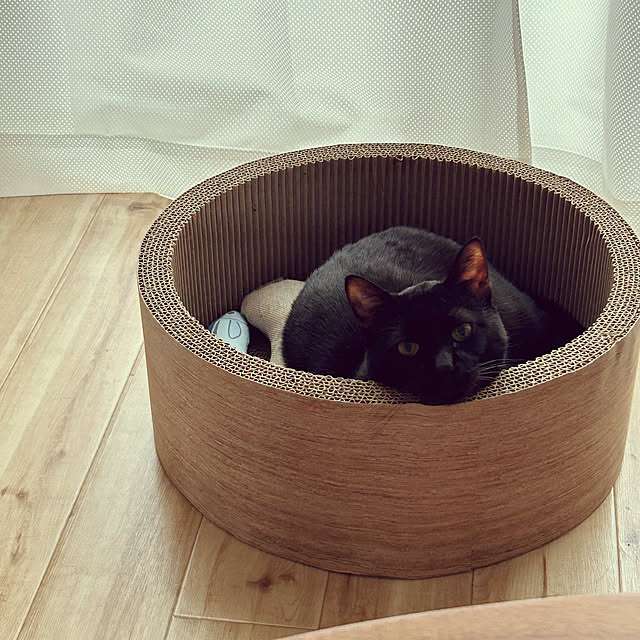 mimiさんの実例写真