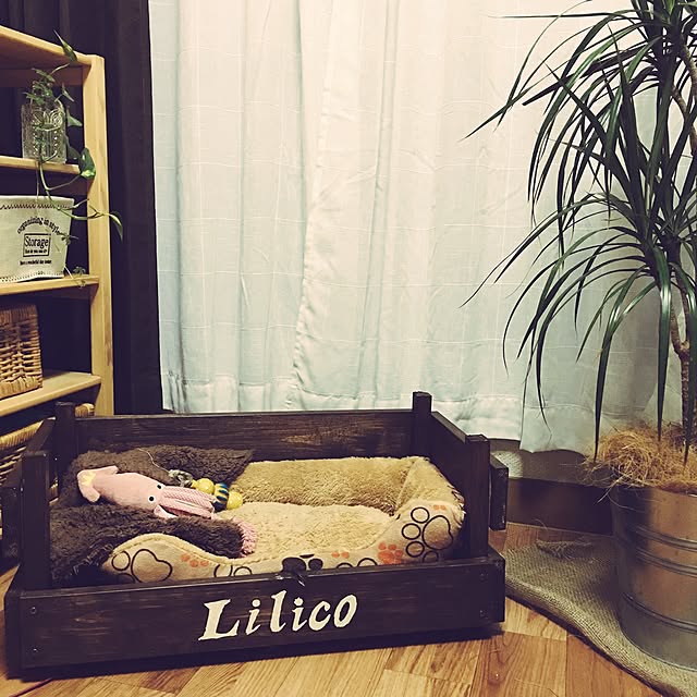 k_la_aさんの実例写真