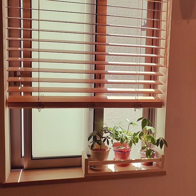 sunnyさんの実例写真