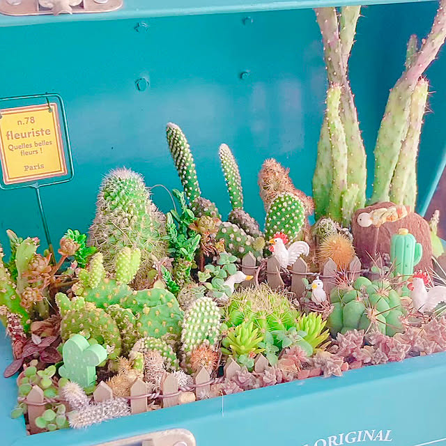 Hanakaさんの実例写真