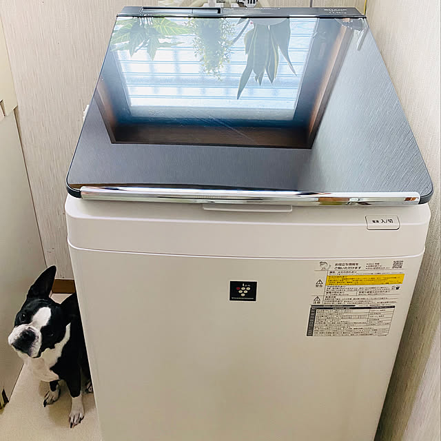 kurumeruさんの実例写真