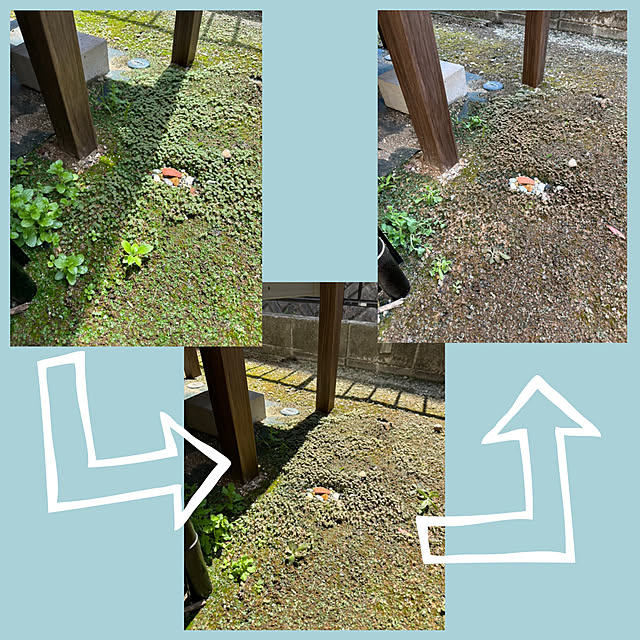 mieさんの実例写真