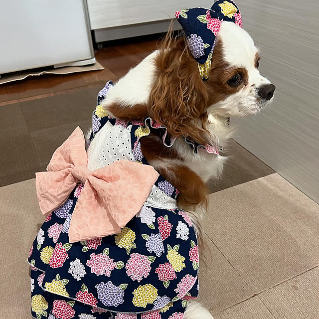 canmilmamaさんの実例写真