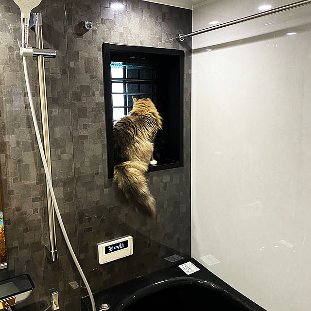 nyankoさんの実例写真