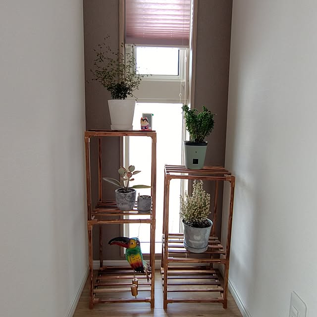 ayan-green.さんの実例写真