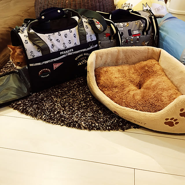 KotarouKunさんの実例写真