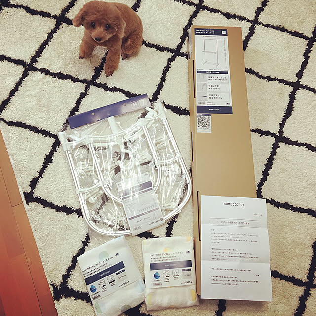 haru._.hanaさんの実例写真