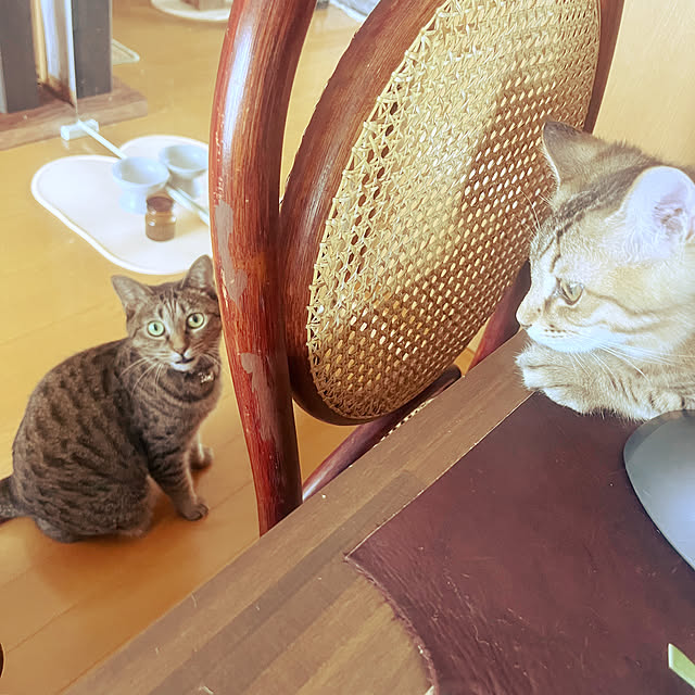 Mさんの部屋
