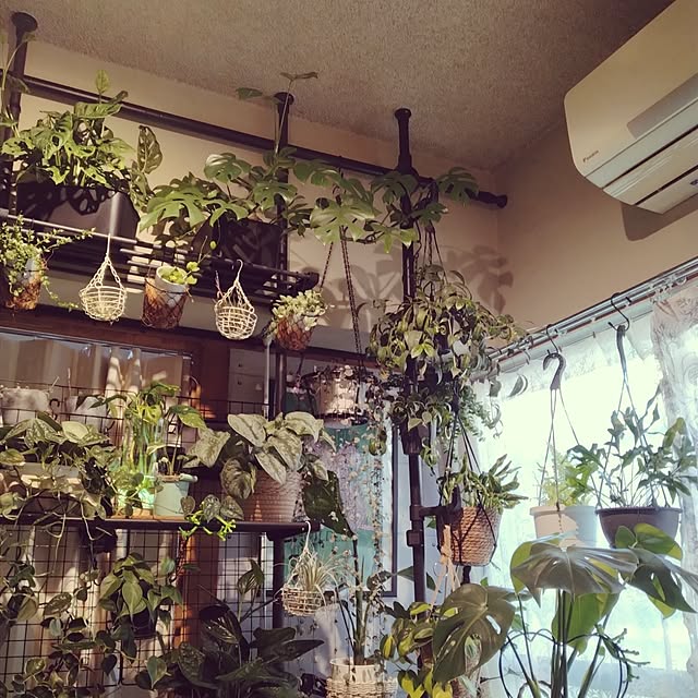 runaさんの部屋