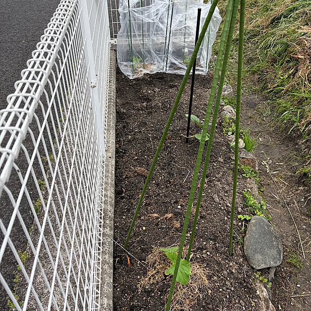 ritsukoさんの部屋