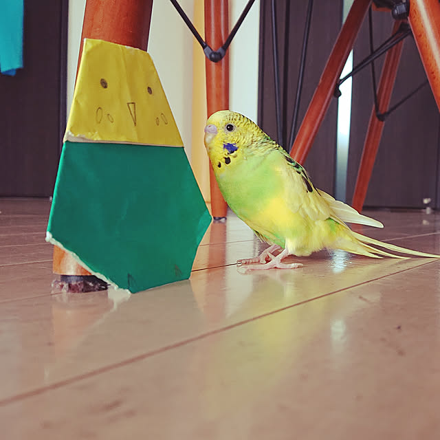 kyonさんの実例写真