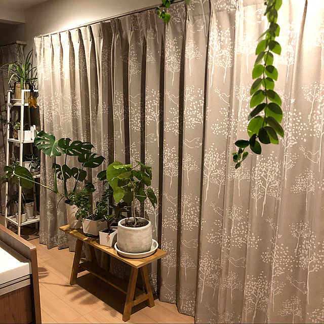 cocoaさんの実例写真