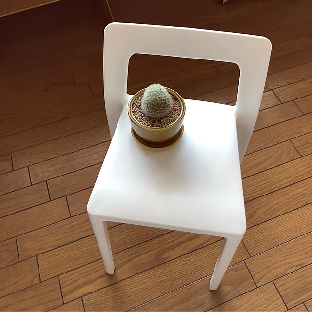 ikumiyaさんの実例写真