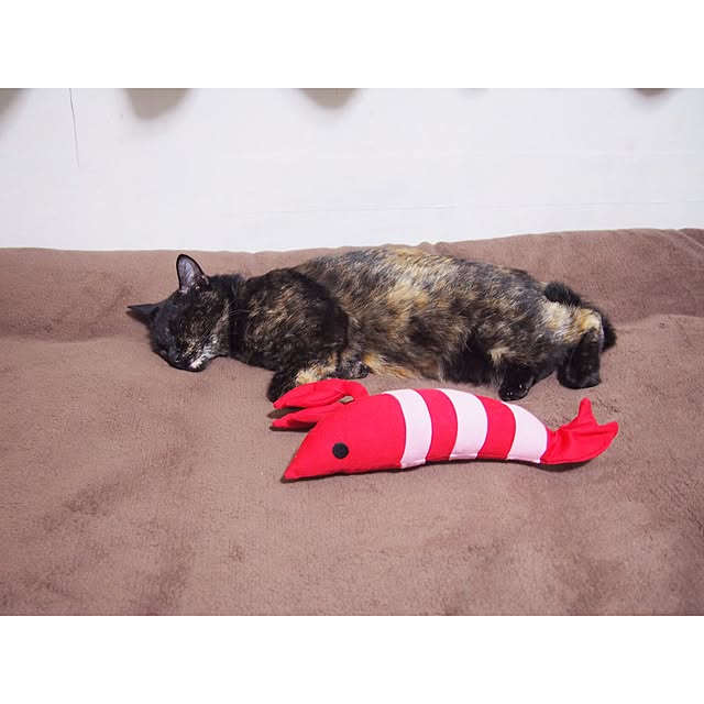 Ryoさんの実例写真
