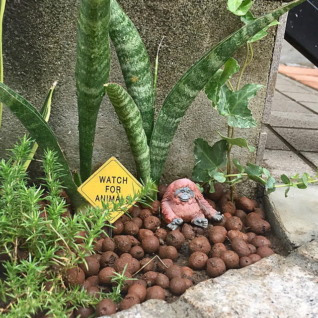 kurumeruさんの実例写真