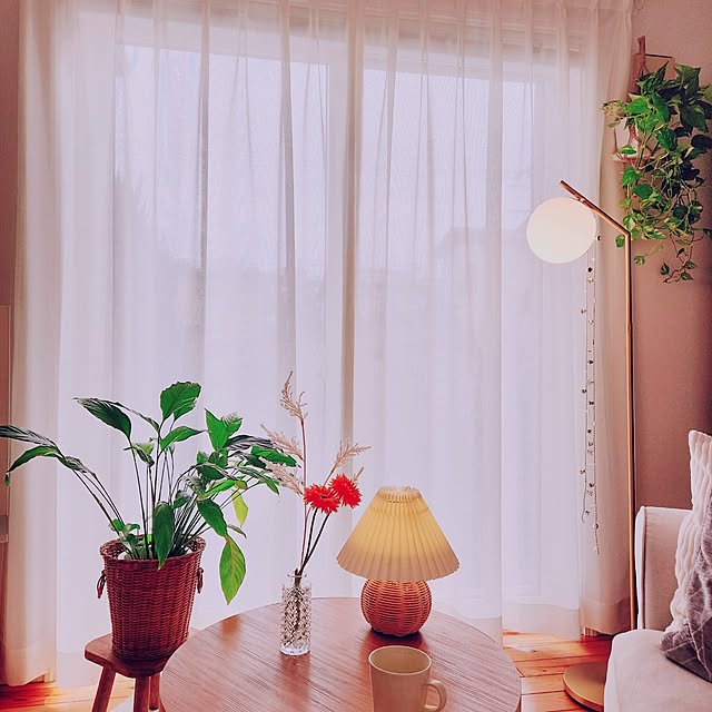 surviveさんの部屋