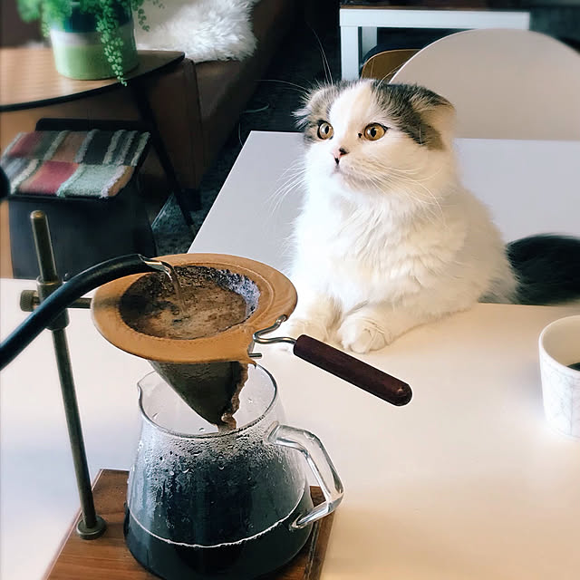 m.さんの実例写真