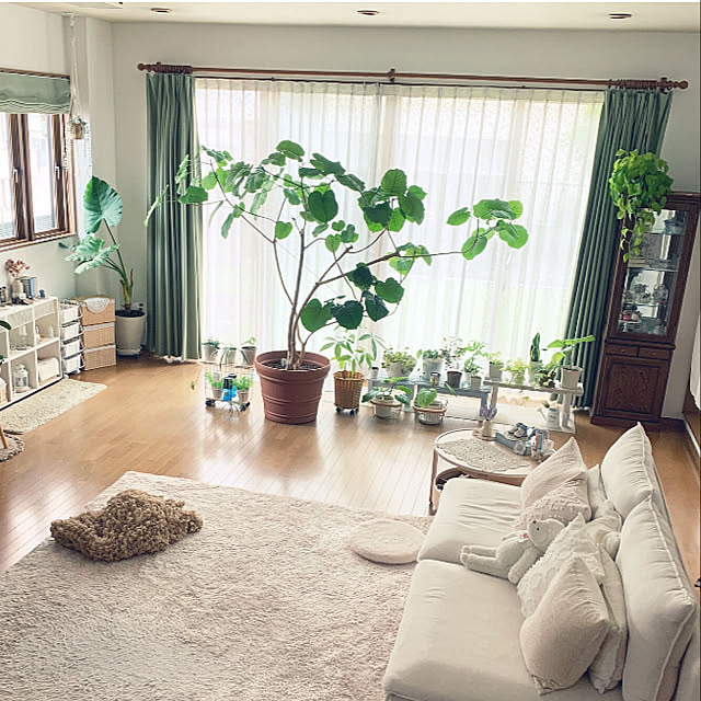 yumi.fさんの部屋