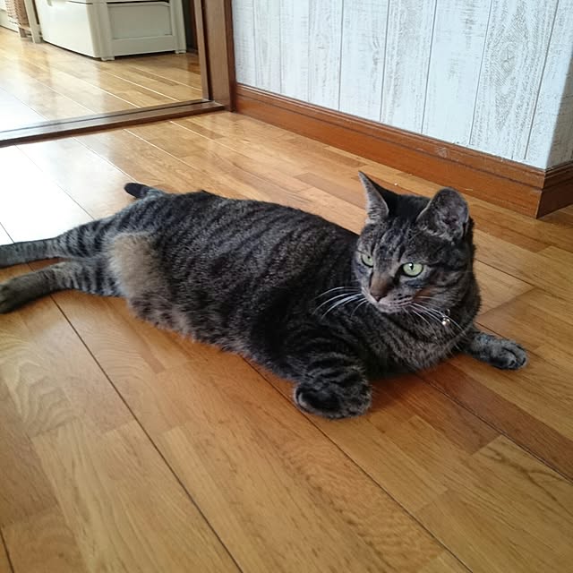 実例写真