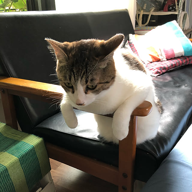 arayanさんの実例写真