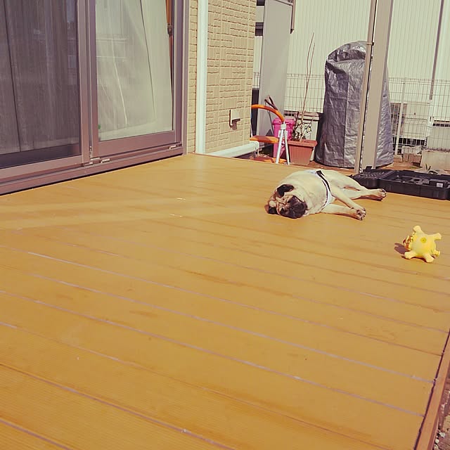 kotata96さんの実例写真