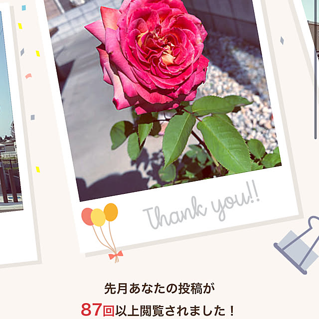 hideさんの実例写真