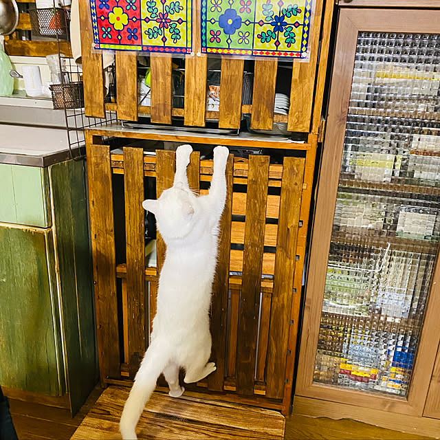 SHIHOさんの実例写真
