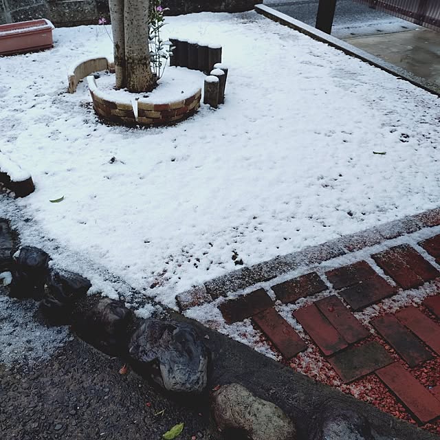 ameamekaasanさんの部屋