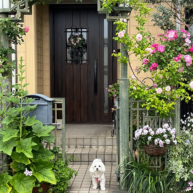 sakuraさんの実例写真