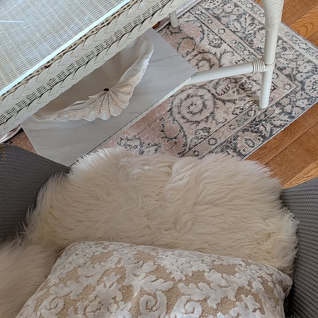 acocoさんの実例写真