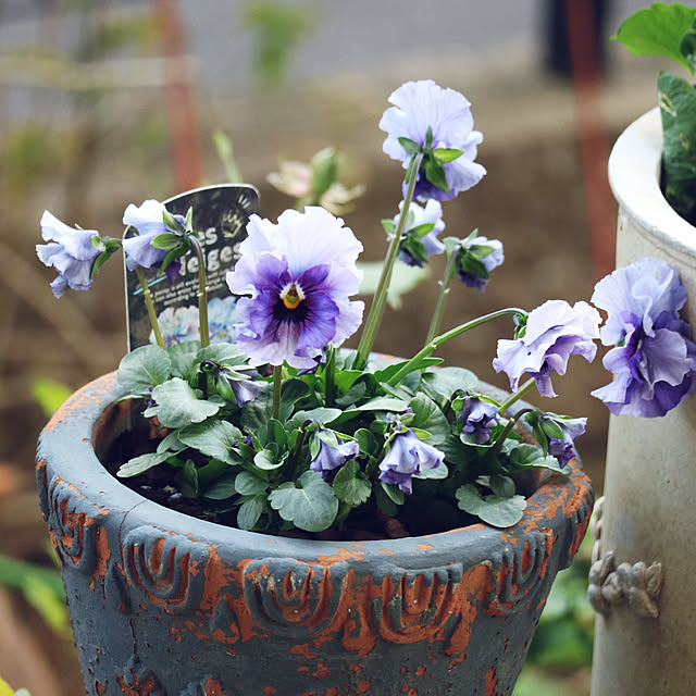 rokokoさんの部屋