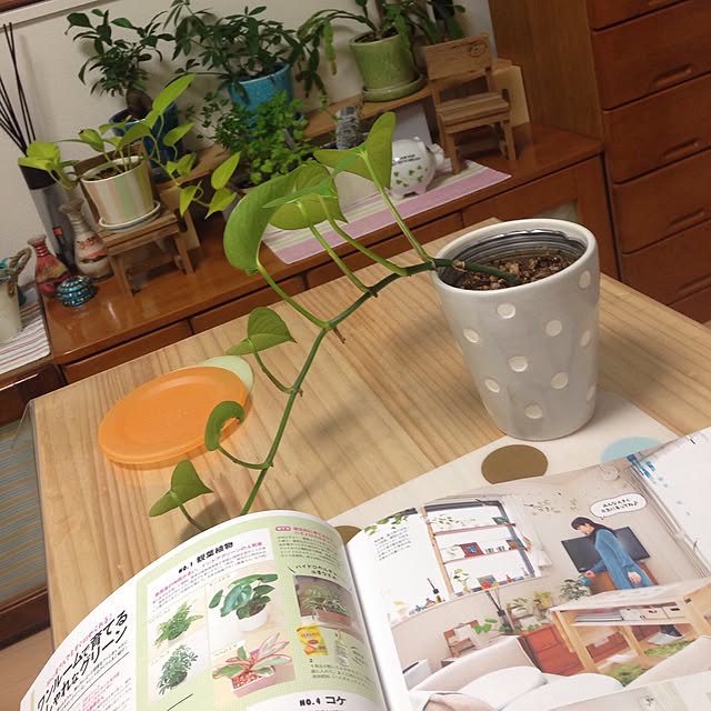 maiさんの実例写真