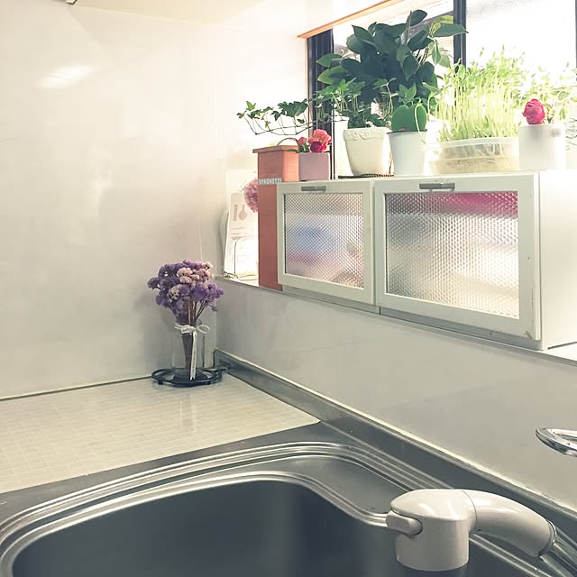 koihiさんの実例写真
