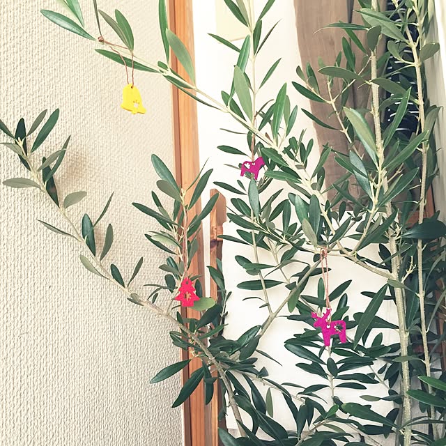 tocotoco.10さんの実例写真