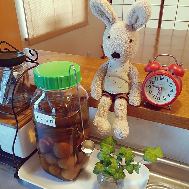 Johnmamaさんの実例写真