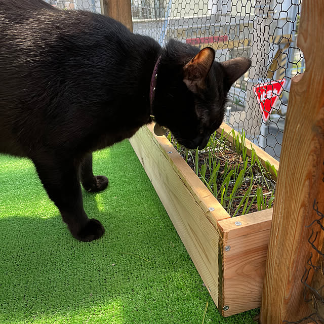 coolcats0528さんの部屋
