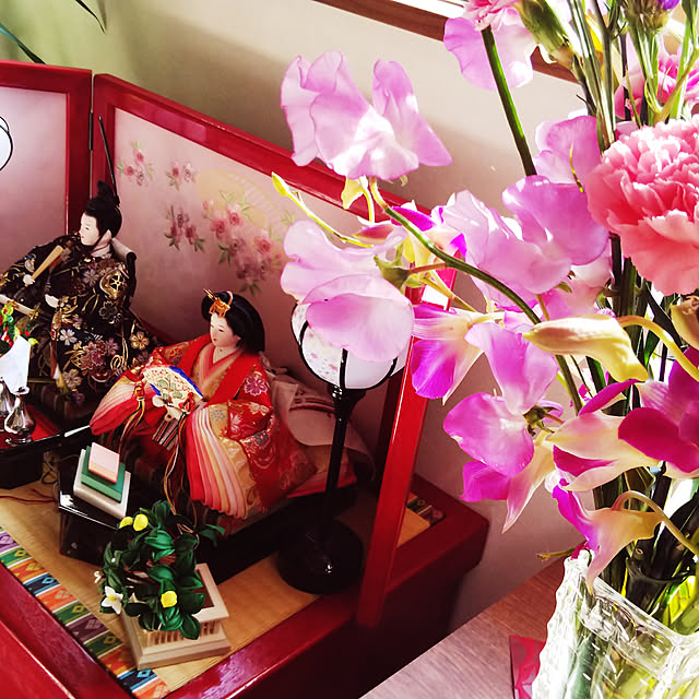 棚/観葉植物のインテリア実例 - 2019-02-25 14:36:54