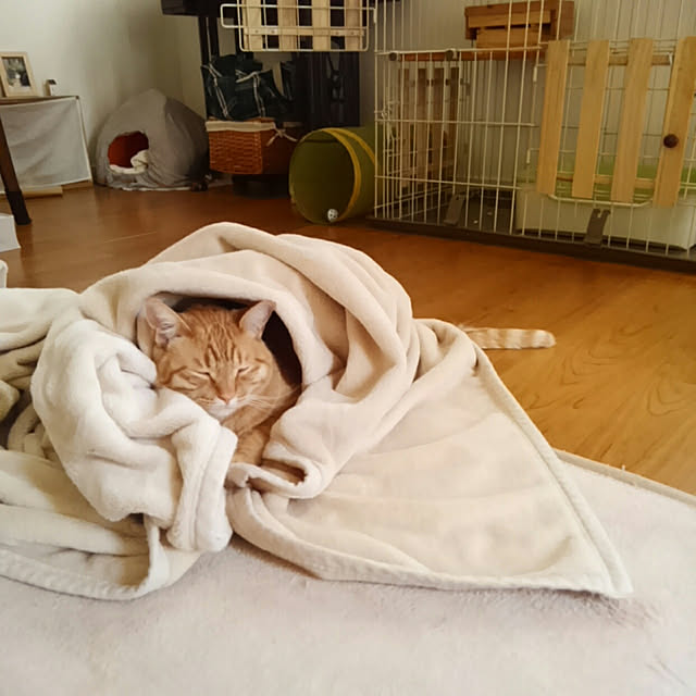 mayutan.さんの実例写真