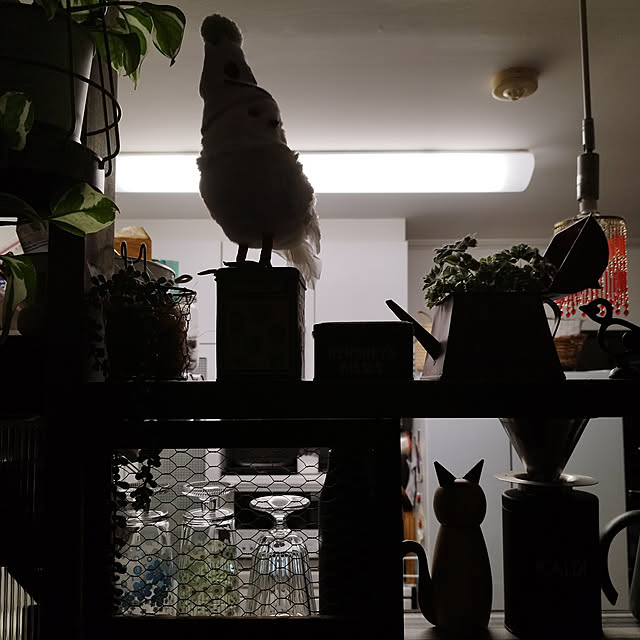 hiro3さんの実例写真