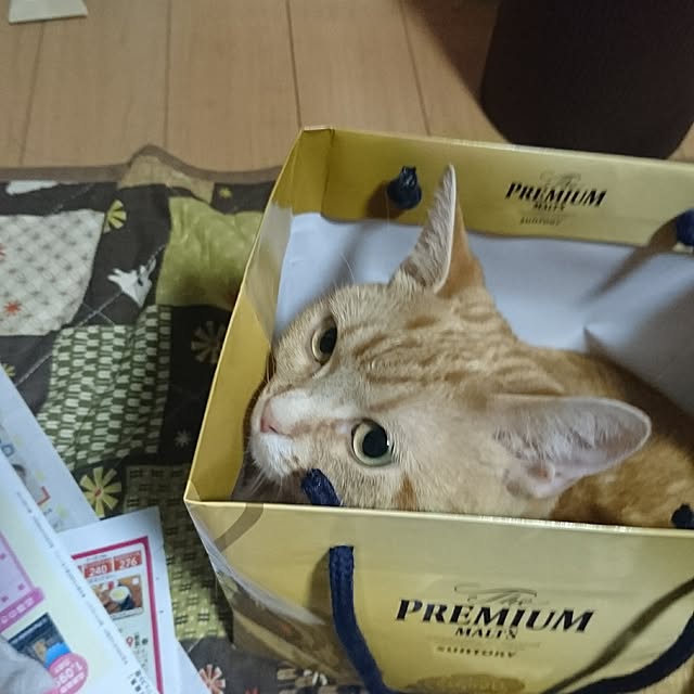 shinobuさんの実例写真