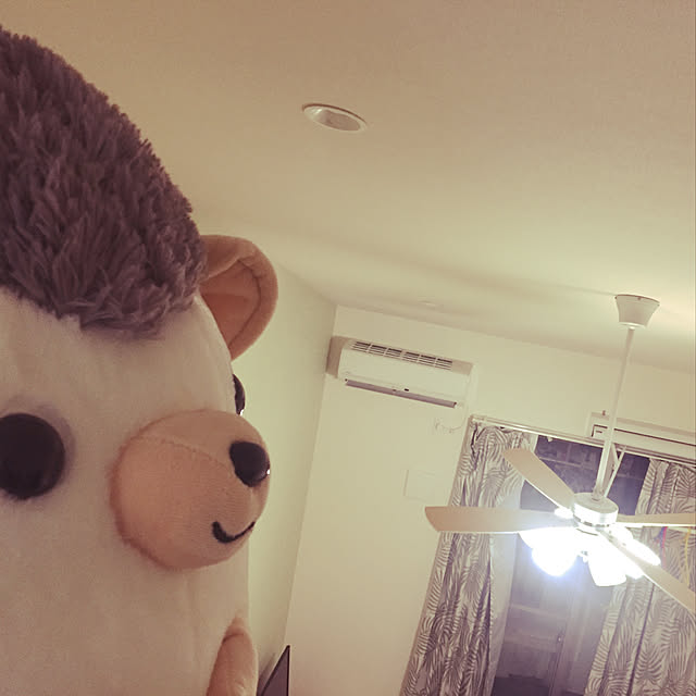 Neさんの実例写真