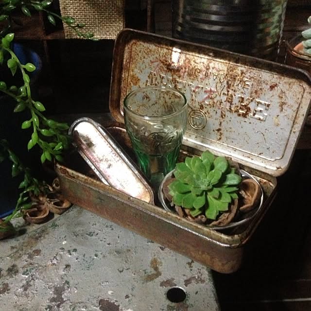 edenさんの実例写真