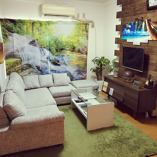 DIY/観葉植物/部屋全体のインテリア実例 - 2020-08-13 16:29:33