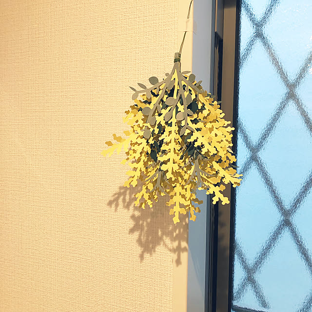 cantabileさんの実例写真