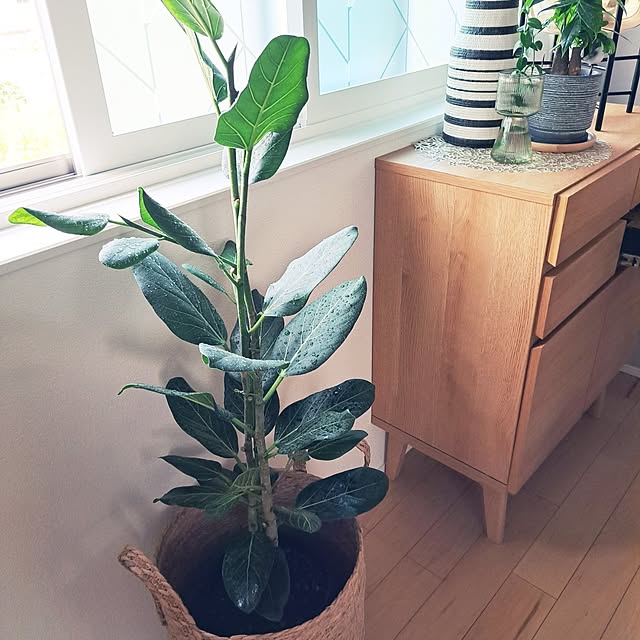 mihiroさんの部屋