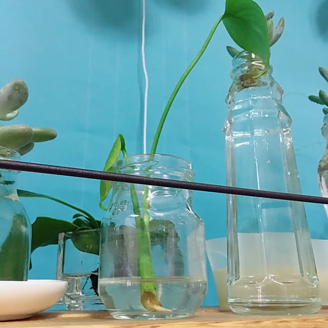 Satoshiさんの実例写真
