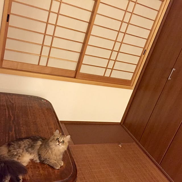 butachanさんの実例写真