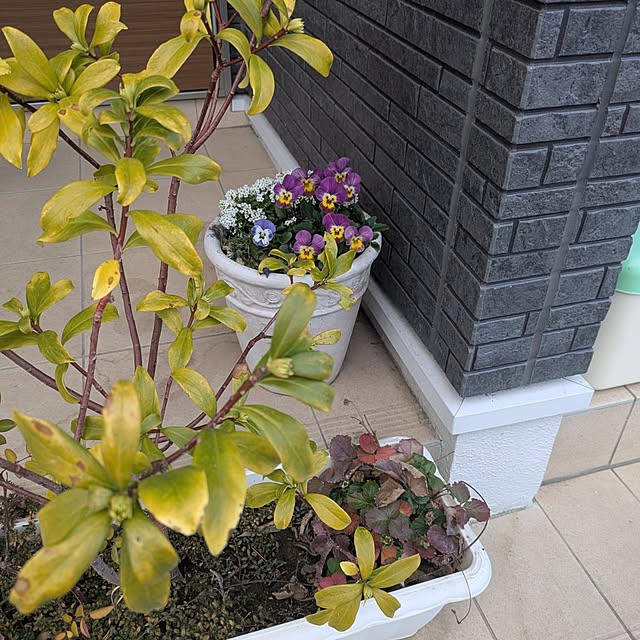 minnieさんの部屋