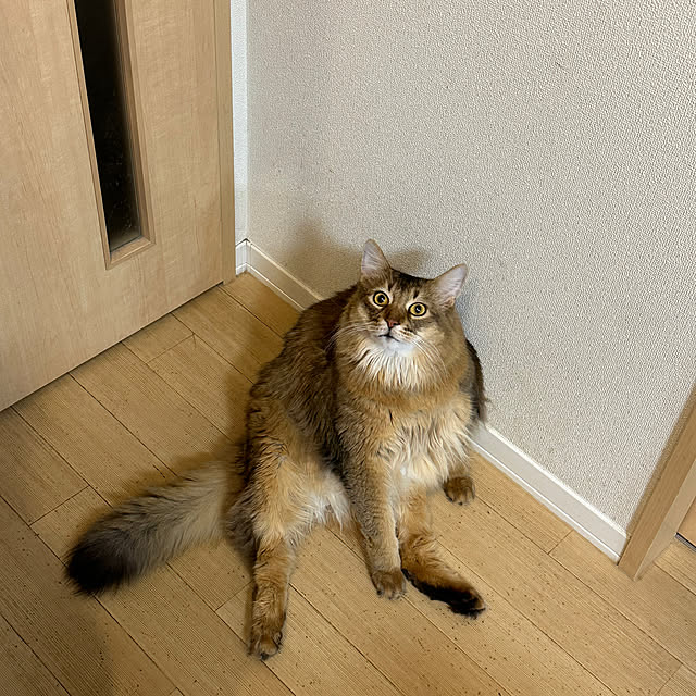 meさんの実例写真